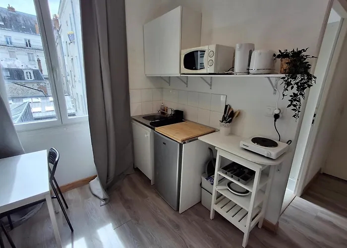 Plein Centre Chez Eric N3 公寓 *