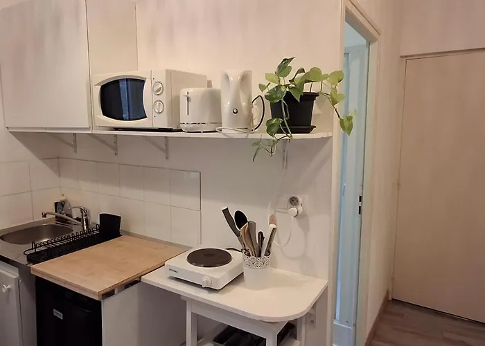 Διαμέρισμα Plein Centre Chez Eric N3 *